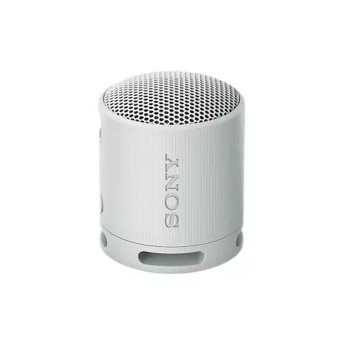 ENCEINTE PORTABLE WIRELESS GRIS SONY
