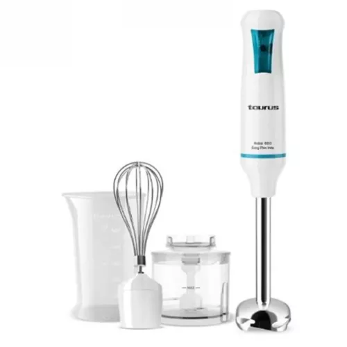 MIXEUR PLONGEANT 750 EASY PLUS INOX TAURUS