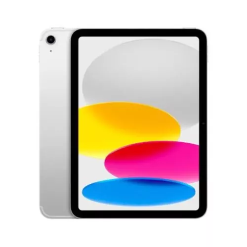 iPad Wi-Fi + Cellular 256GB SILVER APPLE